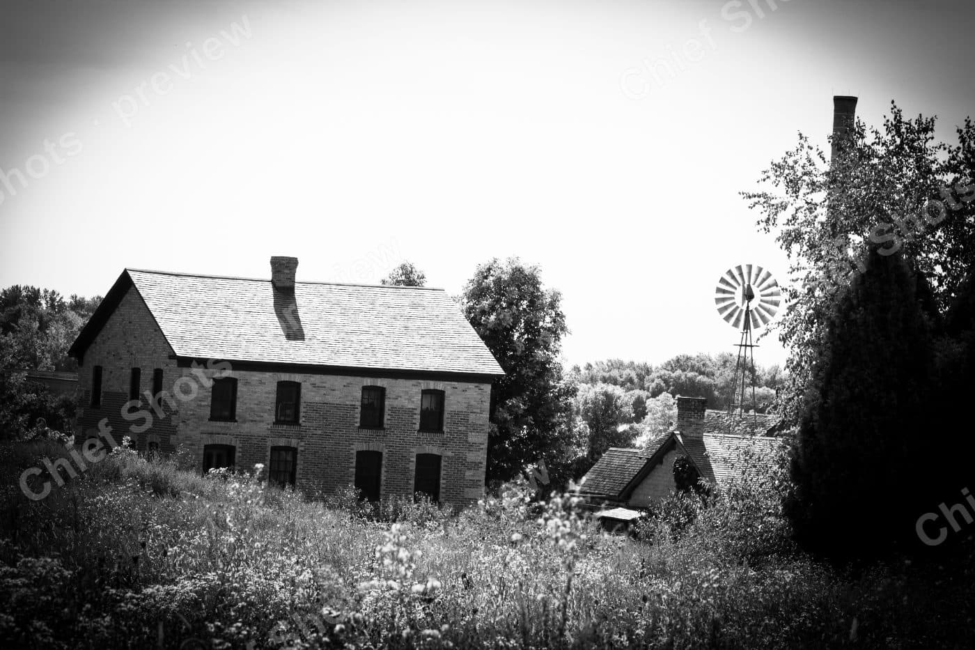 IMG 4551